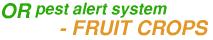 ORpas Fruit