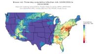 thumbs/BROT_Cum_Inf_Risk_3day_20261012.t.jpg