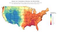 thumbs/BROT_Cum_Inf_Risk_Total_20260813.t.jpg