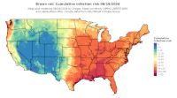 thumbs/BROT_Cum_Inf_Risk_Total_20260819.t.jpg