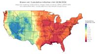 thumbs/BROT_Cum_Inf_Risk_Total_20261006.t.jpg