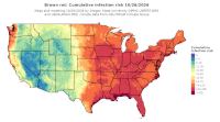 thumbs/BROT_Cum_Inf_Risk_Total_20261026.t.jpg