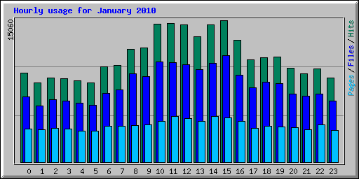 Hourly usage for January 2010